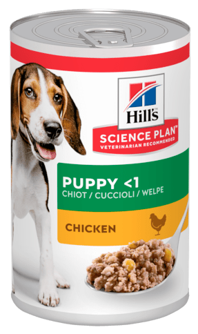Hills Puppy with Chicken