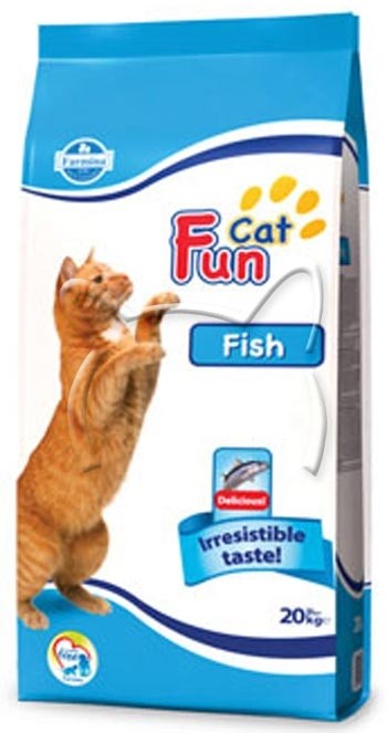 Fun Cat Fish