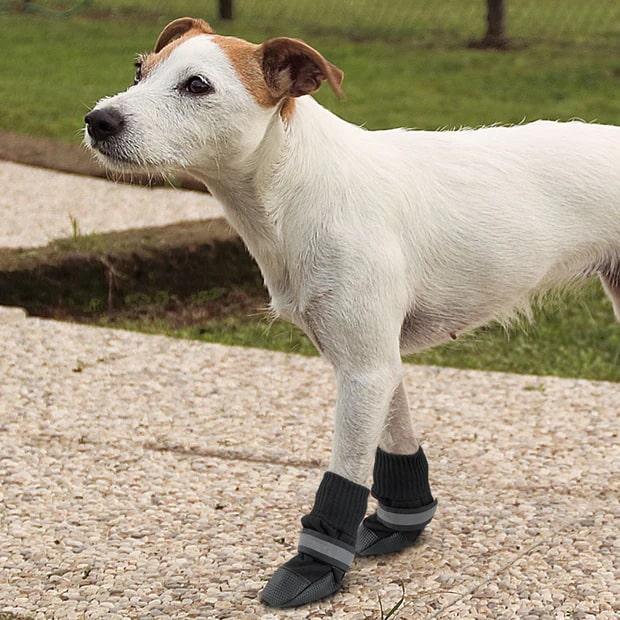 Ferplast Dog Shoes