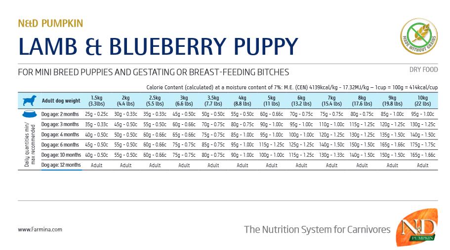 N&D Pumpkin Puppy Mini Lamb & Blueberry