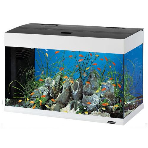 Ferplast Dubai 80 LED White /аквариум с пълно оборудване/
