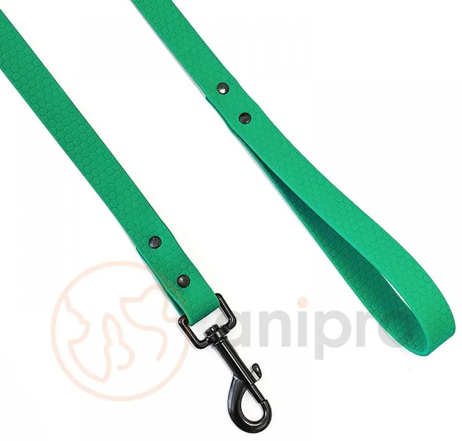 Anipro Hexagon Dog Leash Pastel Green Tape