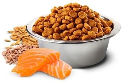 N&D Tropical Selection Dog Adult Mini Salmon and Tropical fruits