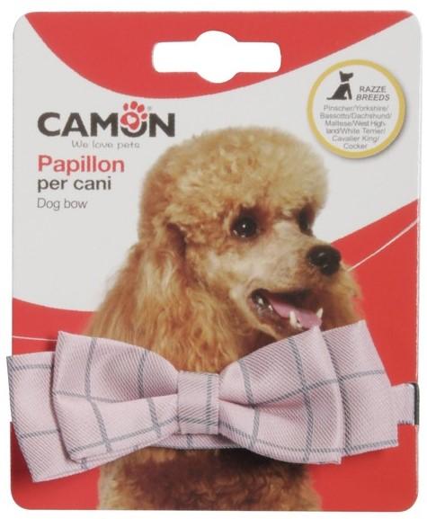 Camon Checkered necktie