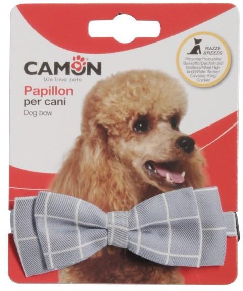 Camon Checkered necktie