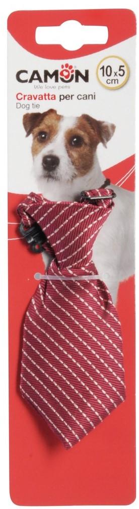 Camon Dog tie with stripes