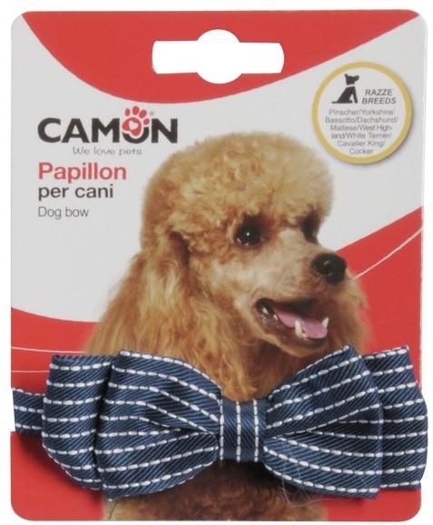 Camon Striped necktie