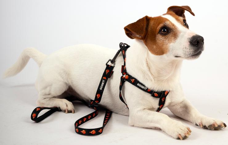 Pet Interest GOGET! Dog Harness Clown Fish