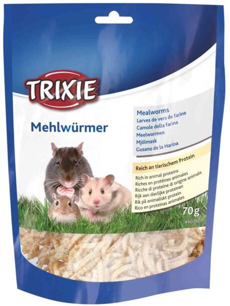 Trixie Mealworms