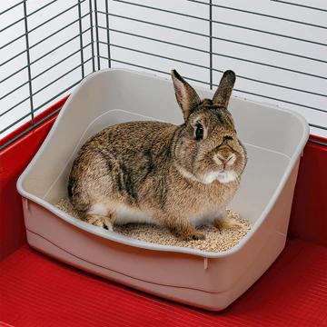 Ferplast L 305 Rabbit Toilet