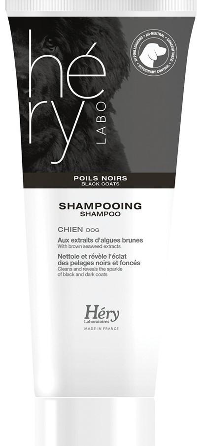 Hery Black Coat Shampoo